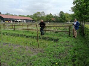 Willow filter Den Scherpenberg Rucphen