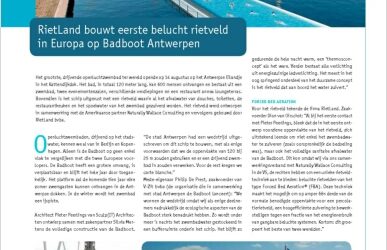 Badboot Antwerpen met eerste belucht rietveld op het Europese vasteland