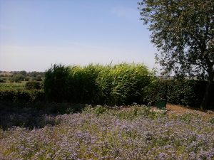 B&B De Wandelaar te Westouter