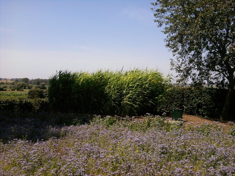 B&B De Wandelaar in Westouter