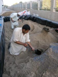 Rietveld bij Culimer in Dubai