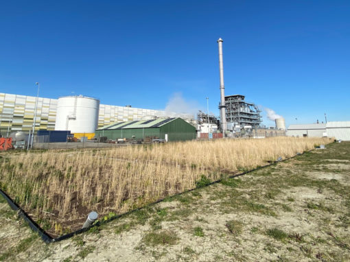 Phytoair as pre-treatment for industrial water at DOW Terneuzen