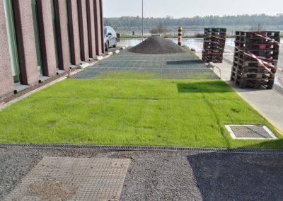 Phytoparking at Argex office, Kruibeke (BE)