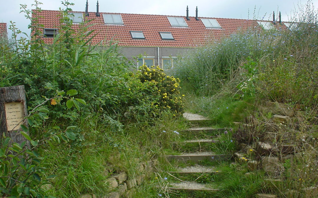 Vertical flow-through helophyte filter in Polderdrift (NL)