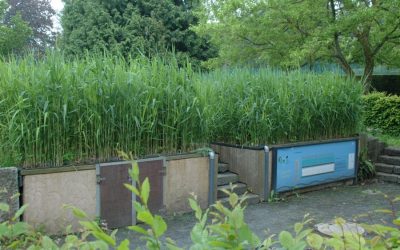 Percolatieveld zuivert sanitair water park Provinciedomein Huizingen