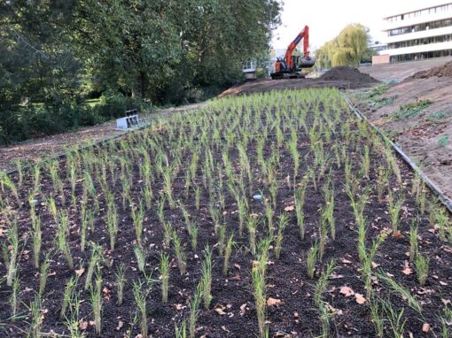 Vraaggestuurd hergebruik van gezuiverd afvalwater bij Howest (Kortrijk)