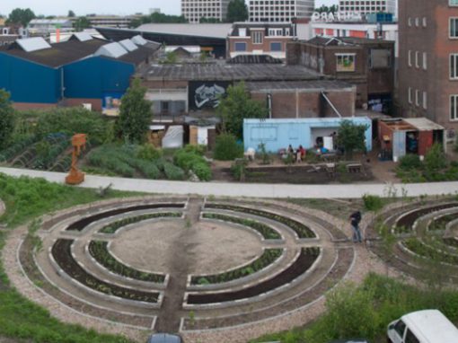 Phytocube purifies sanitary waste water Food Garden Rotterdam